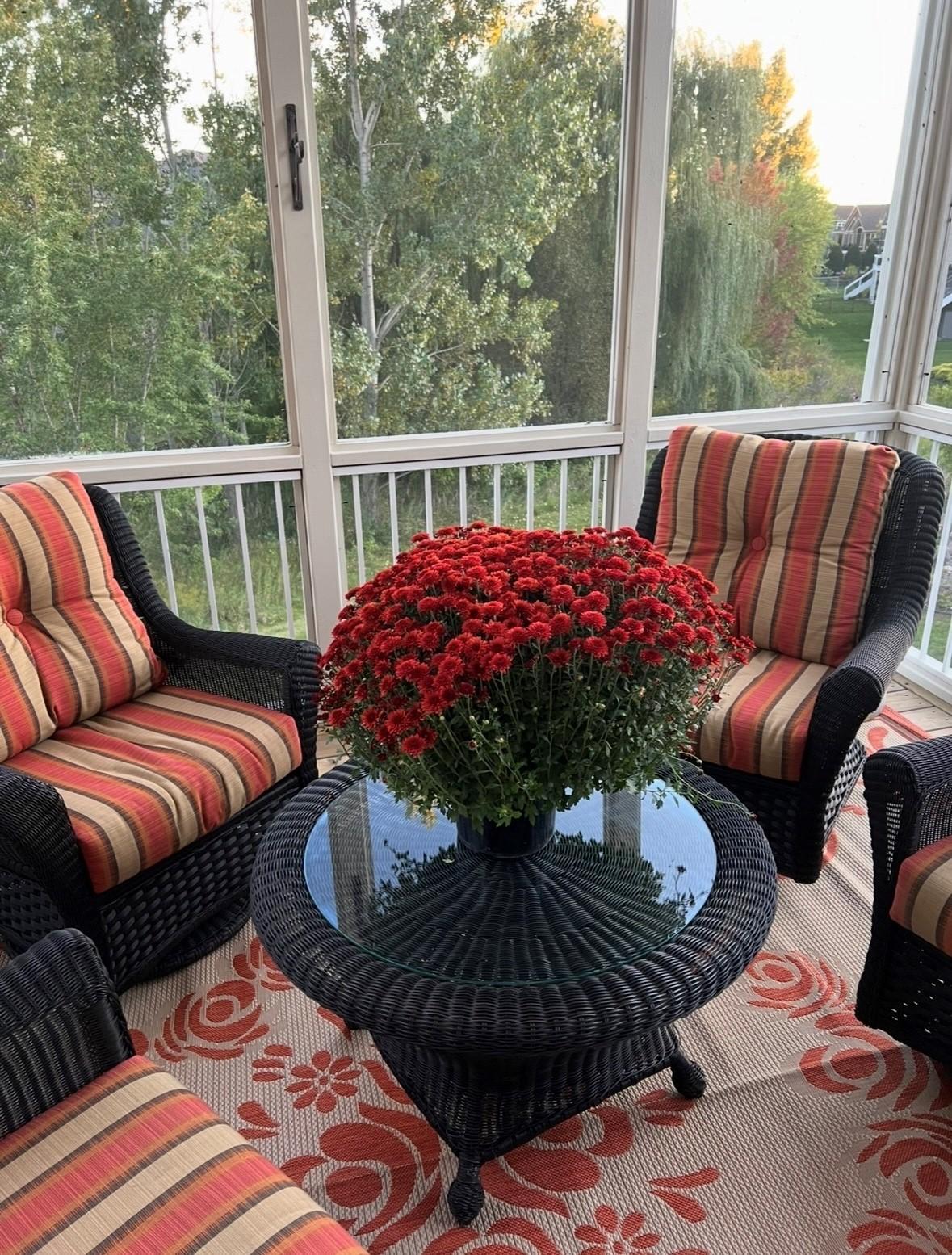 Screened porch