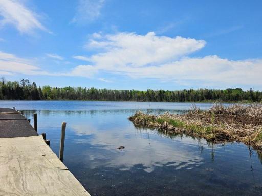 32951 Dahlberg Lake Road, Shevlin, MN 56676