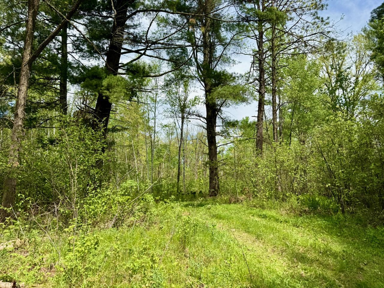 Property photo for XYZ County Road 39, Willow River, MN 55795