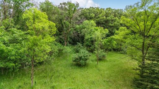 TBD 223rd Street, Cold Spring, MN 56320