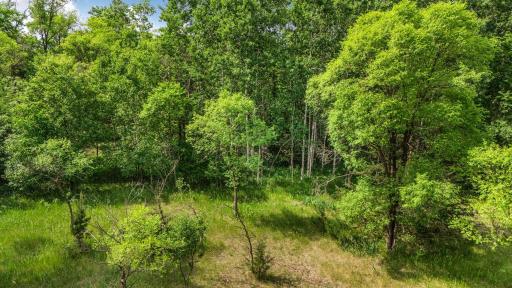 TBD 223rd Street, Cold Spring, MN 56320