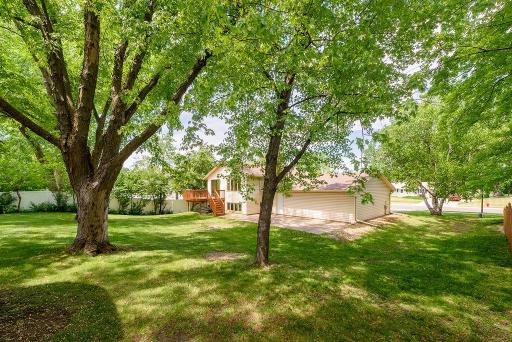 1088 Whitney Drive, Saint Paul, MN 55124