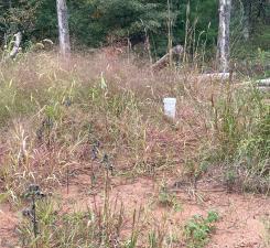 21030 Cemetery Road, Grantsburg, WI 54840