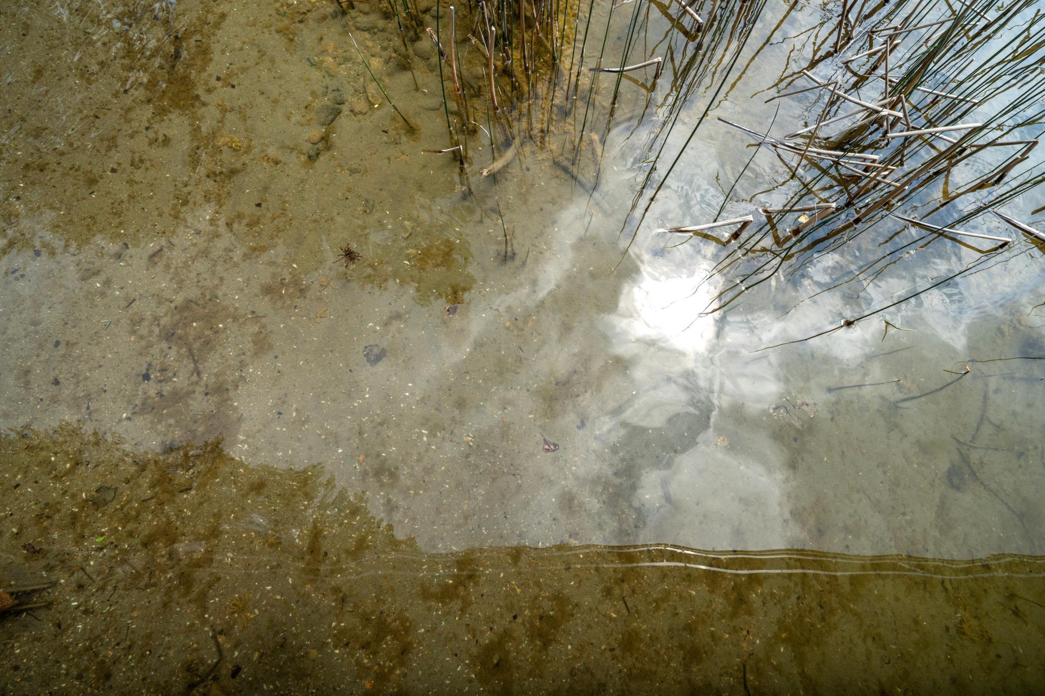 Crystal clear waters on Big Chippewa lake!