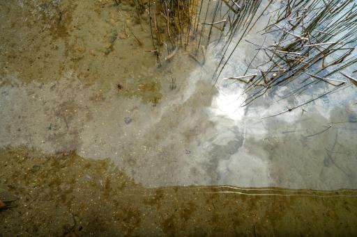 Crystal clear waters on Big Chippewa lake!