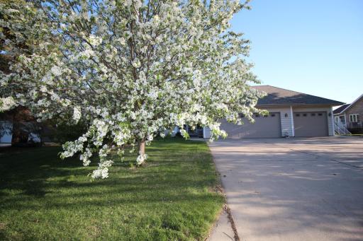 1524 Creek Lane, Northfield, MN 55057