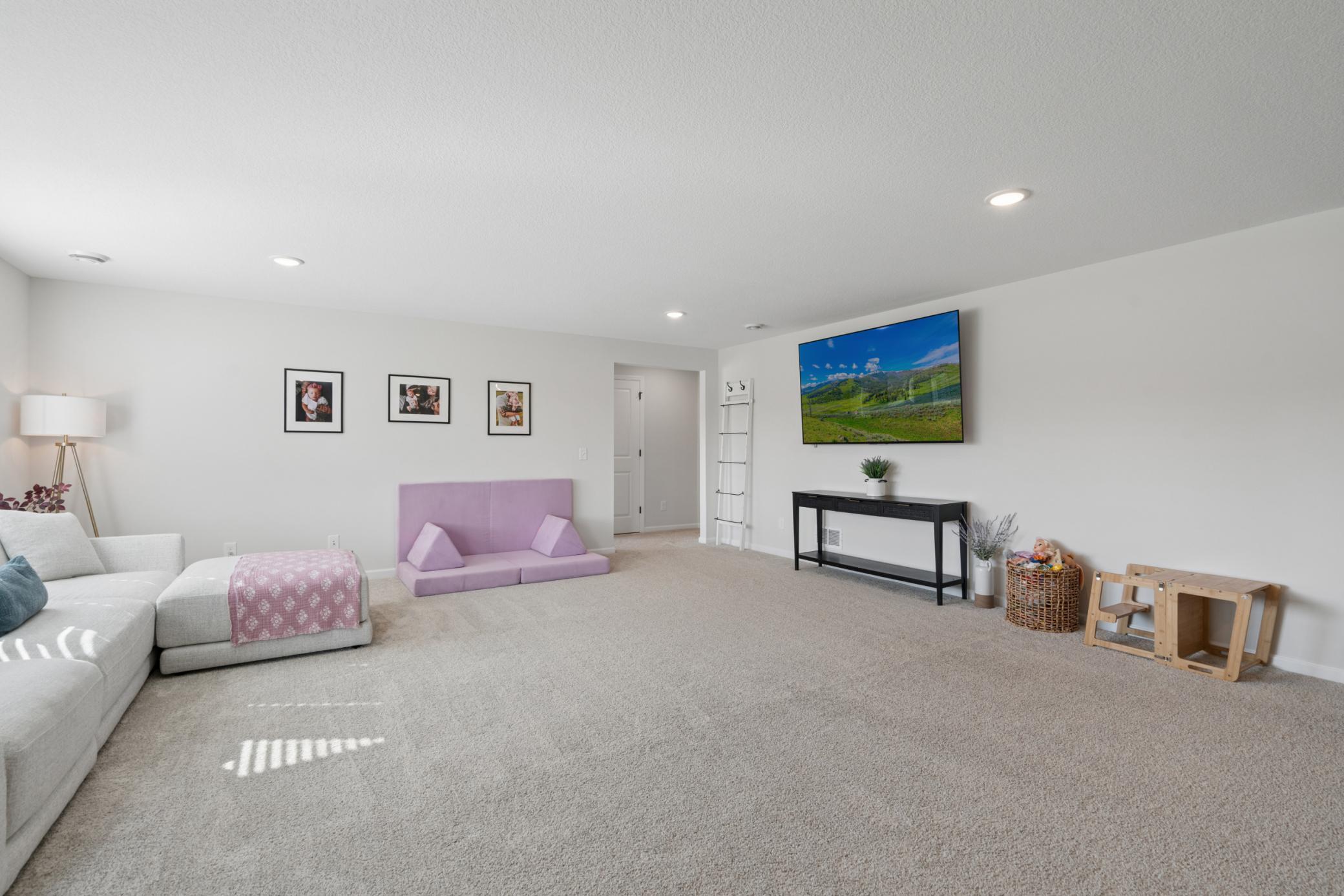 Lower level family room