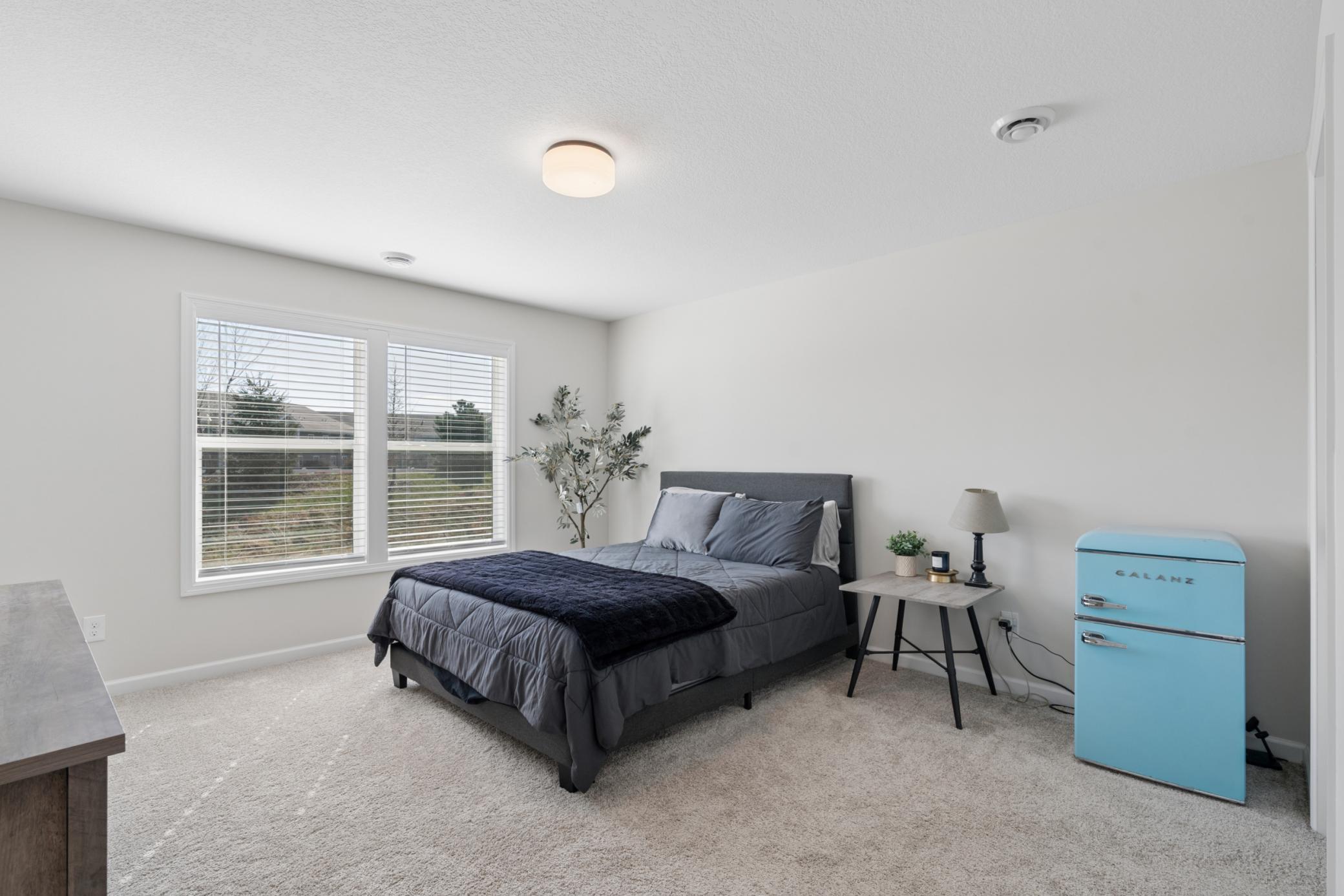 Very sizeable lower level bedroom