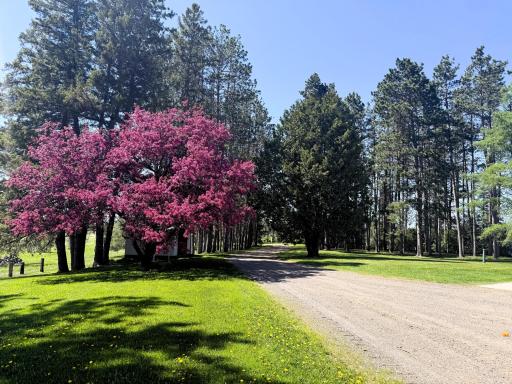 6778 Adelsgruber Drive, Kettle River, MN 55757