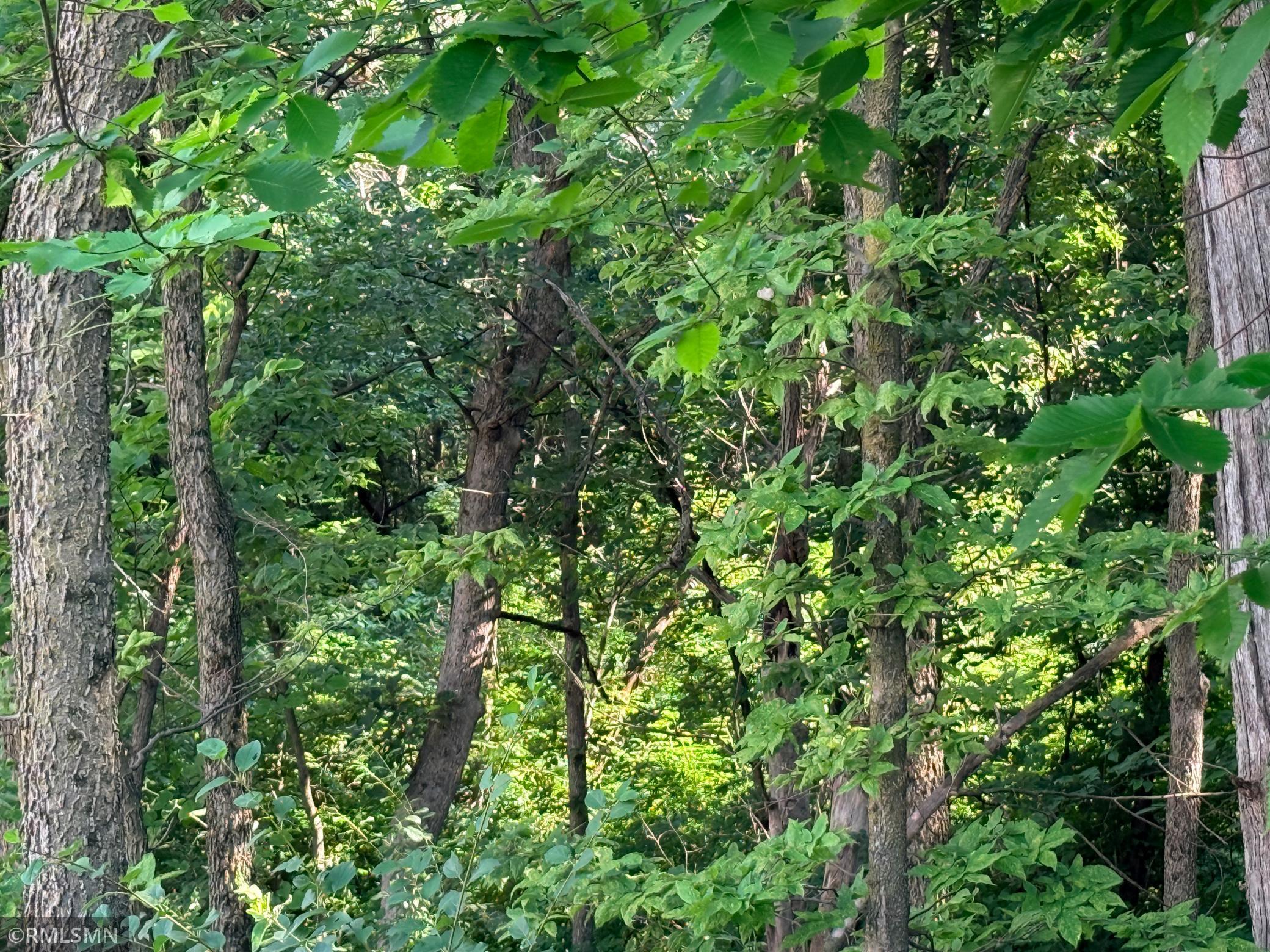 Beautiful backyard extends into the trees over 100 additional feet - see supplements for lot survey.