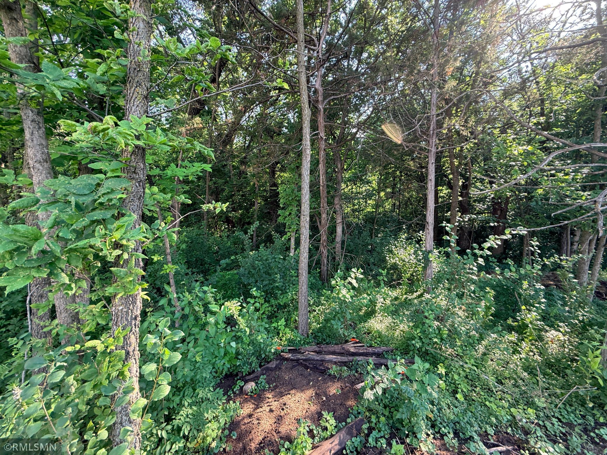 Beautiful backyard extends into the trees over 100 additional feet - see supplements for lot survey.