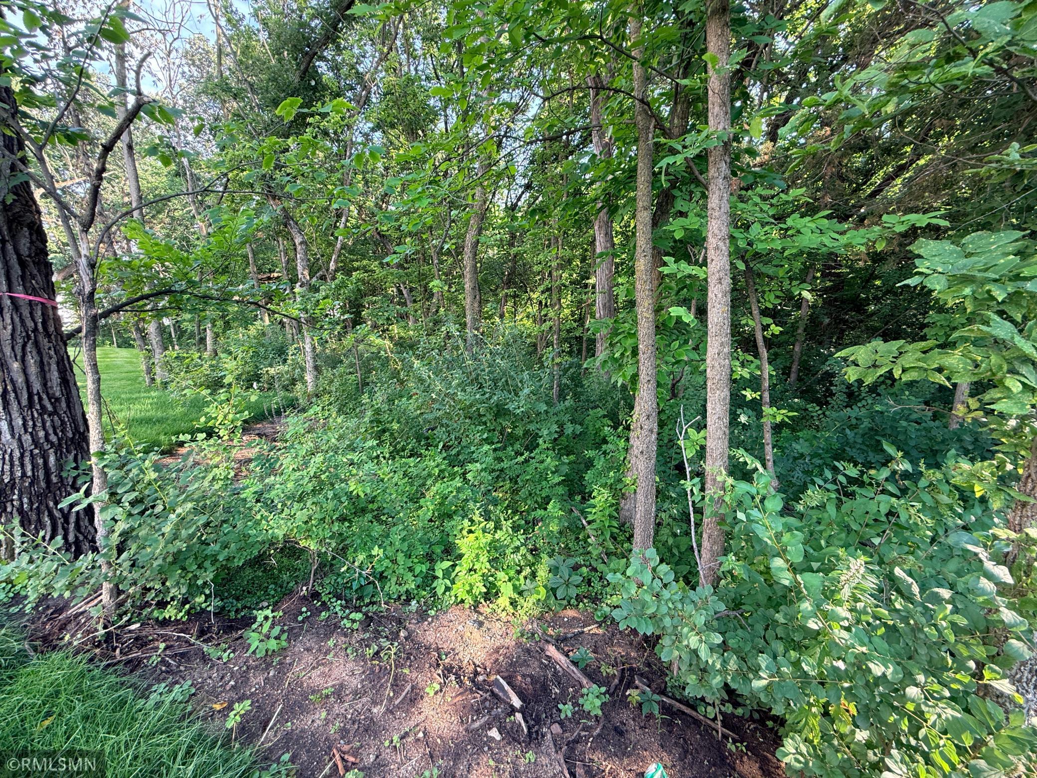 Beautiful backyard extends into the trees over 100 additional feet - see supplements for lot survey.