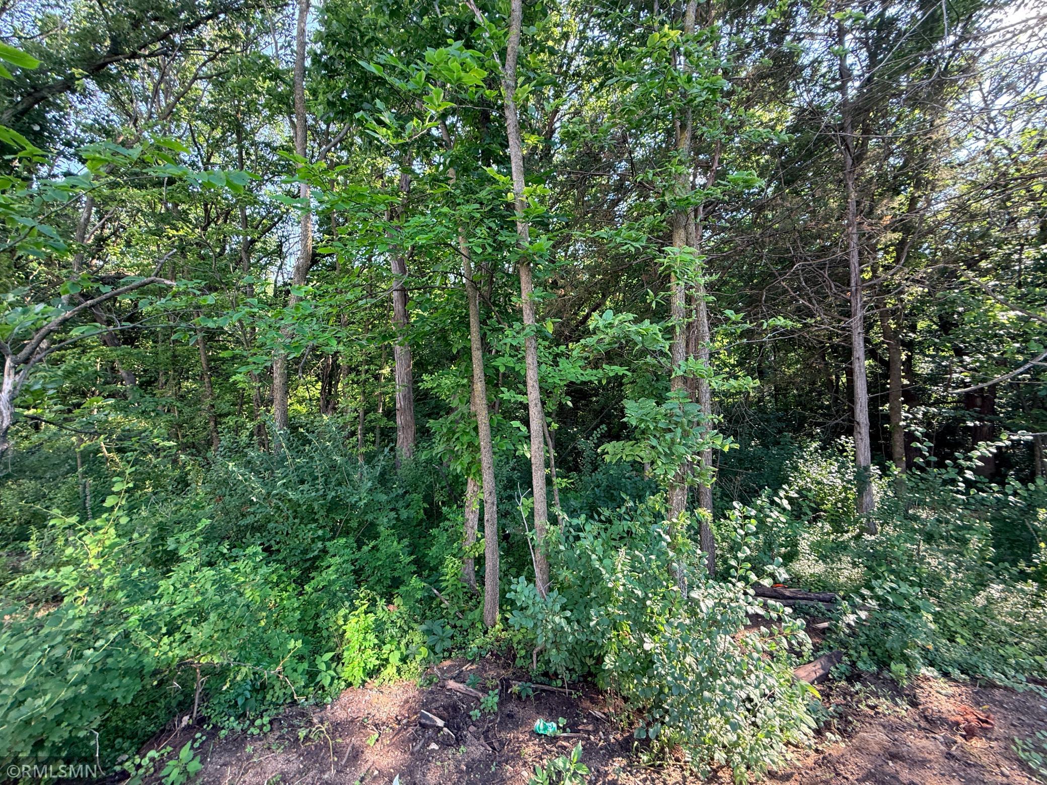 Beautiful backyard extends into the trees over 100 additional feet - see supplements for lot survey.