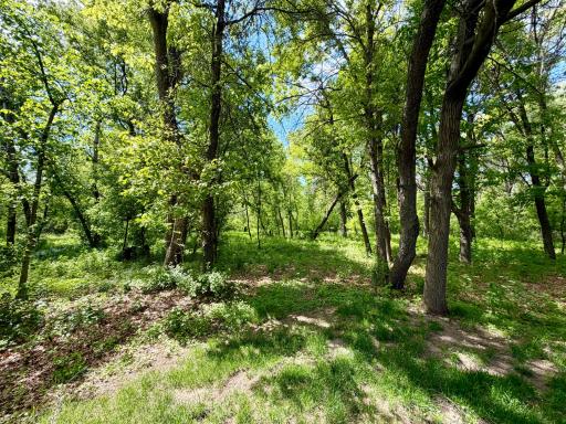 16260 Xenia Street NW, Andover, MN 55304