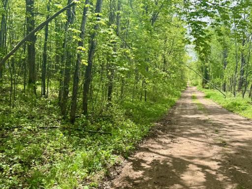 XYZ Dailey Lake Road, Willow River, MN 55795