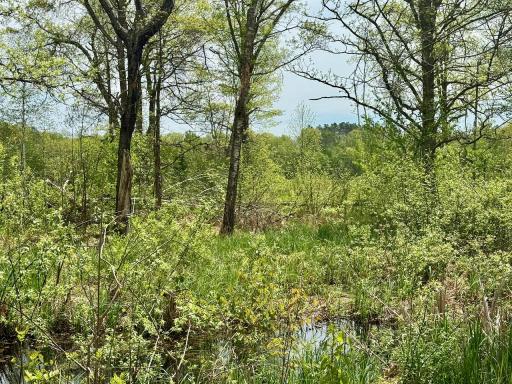 XYZ Dailey Lake Road, Willow River, MN 55795