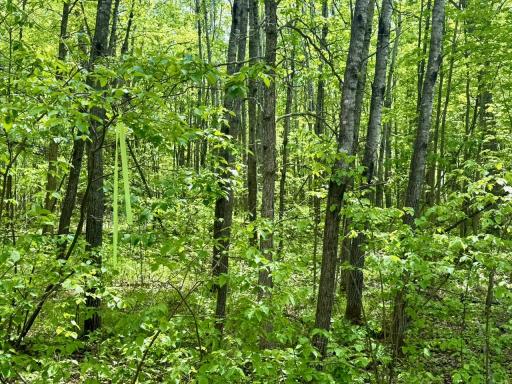 XYZ Dailey Lake Road, Willow River, MN 55795