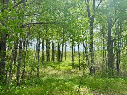 XYZ Dailey Lake Road, Willow River, MN 55795