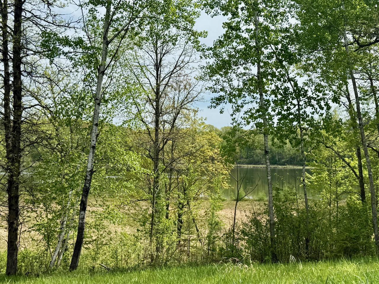 XYZ Dailey Lake Road, Willow River, MN 55795
