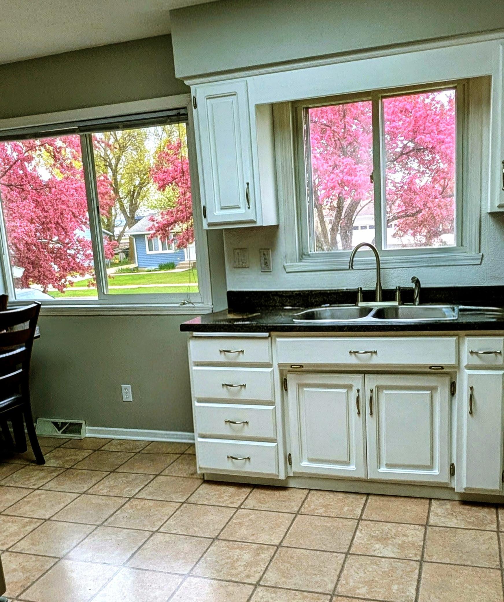 kitchen in spring~4.jpg