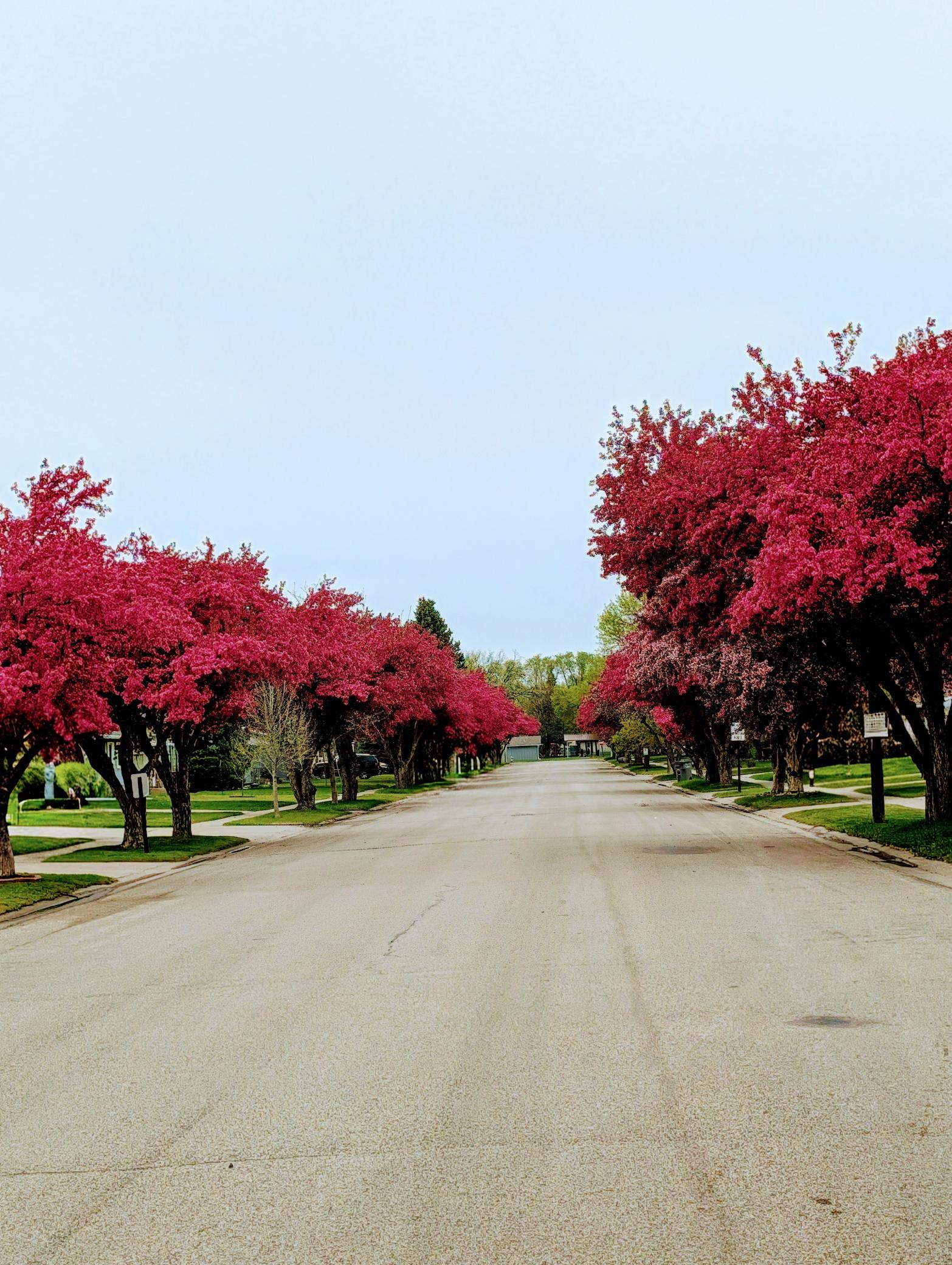 street~3.jpg