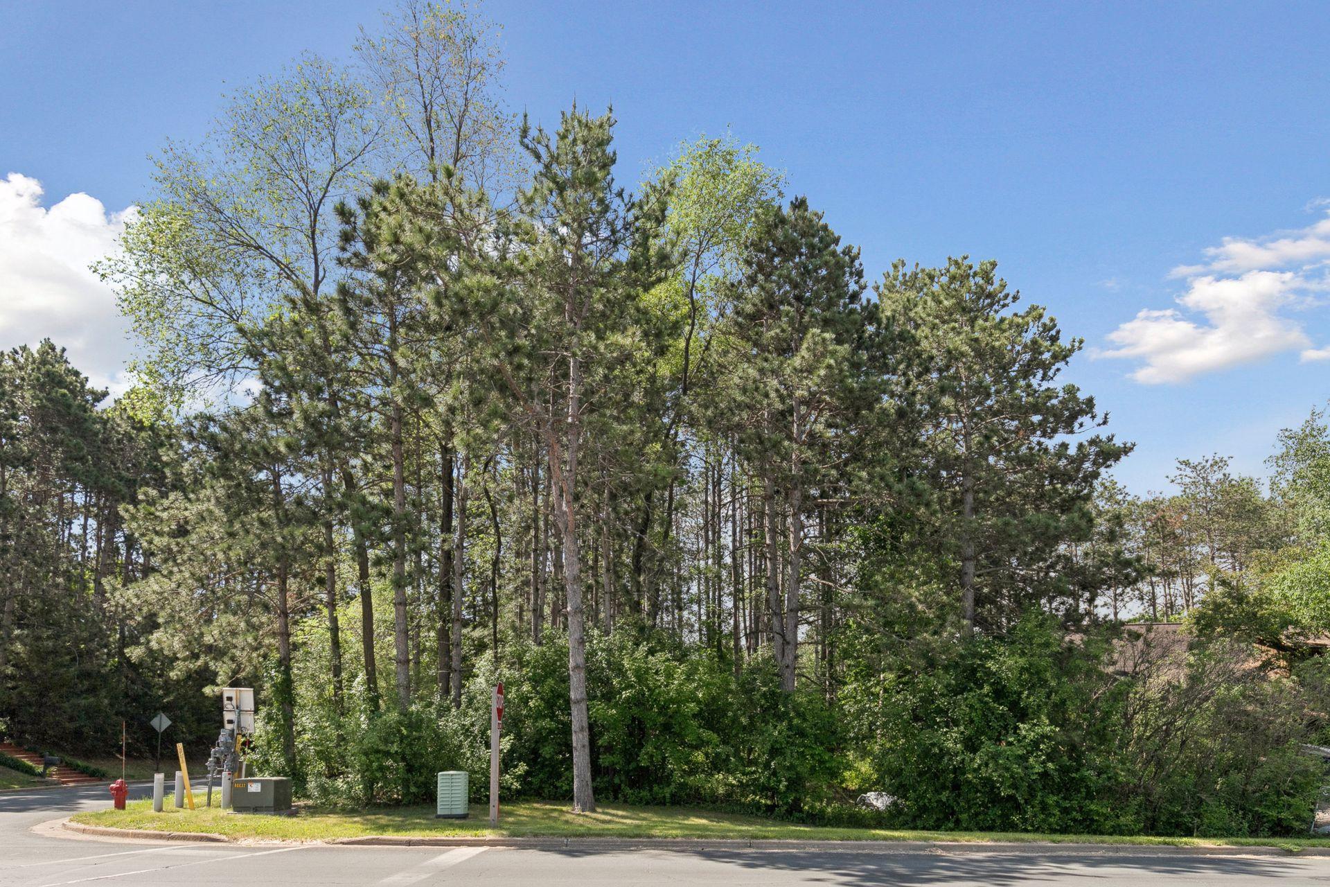 Looking southeast towards the lot on Krattley Ln