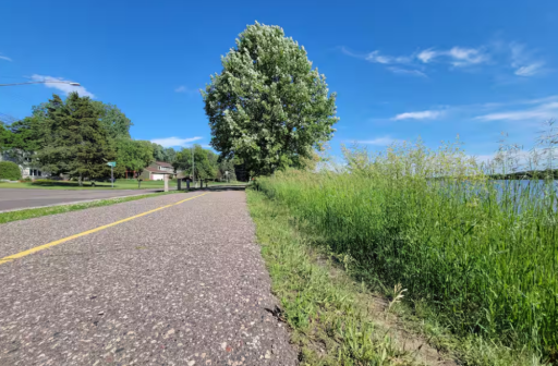 Walking Trail