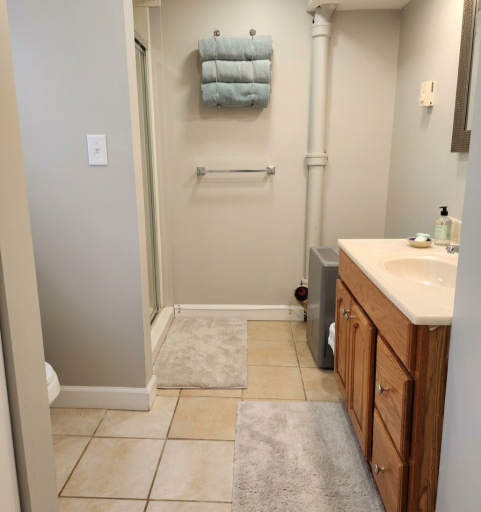 Lower Bathroom