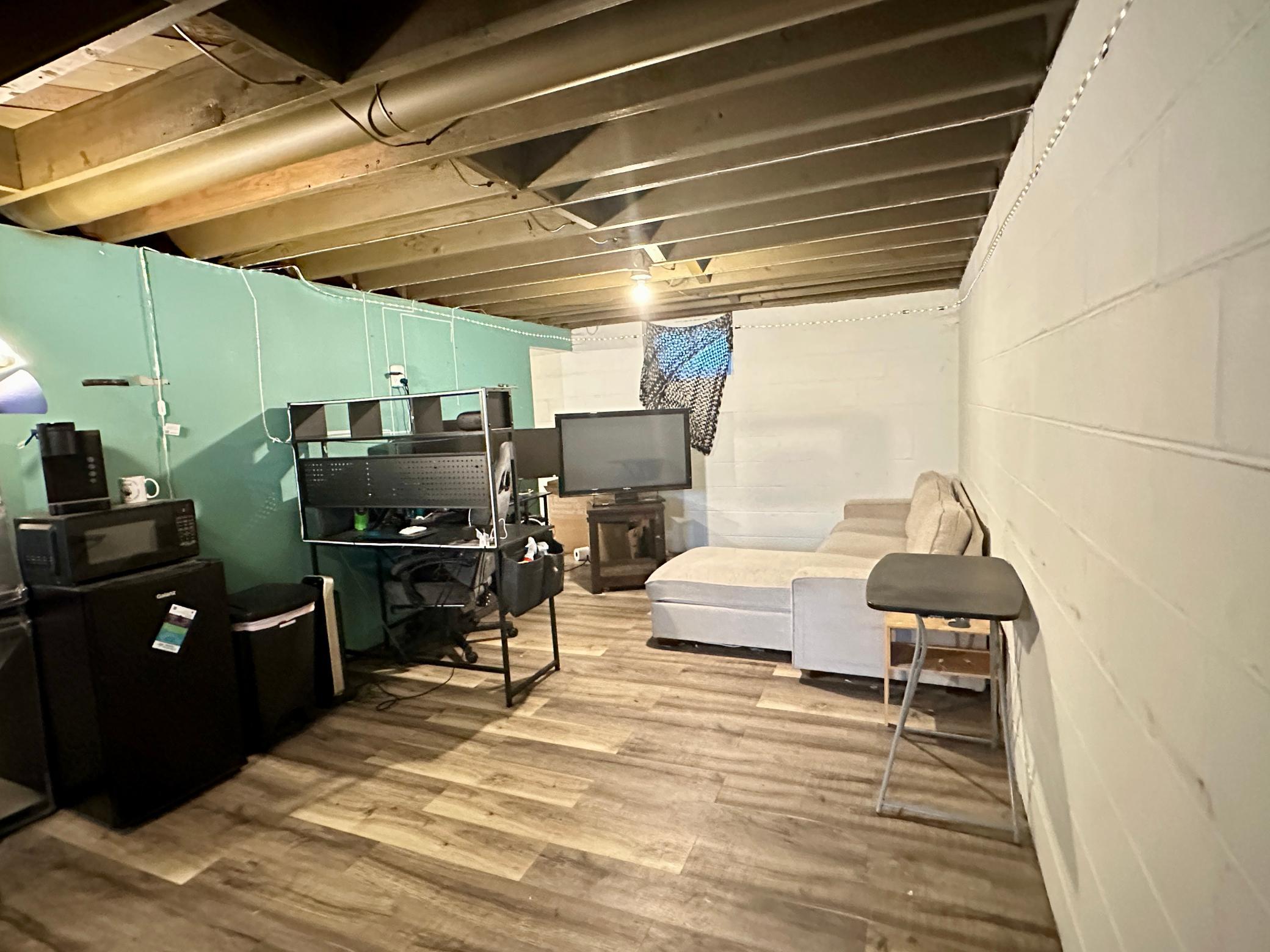 Lower Level Family Room