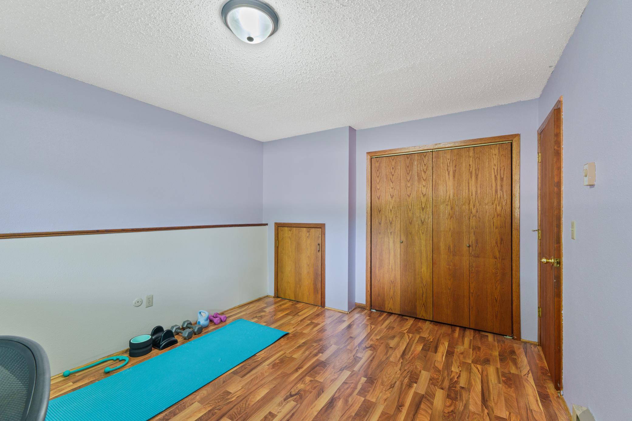 Lower Level Bedroom 2