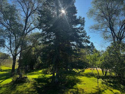 1102 4th Street SE, Little Falls, MN 56345