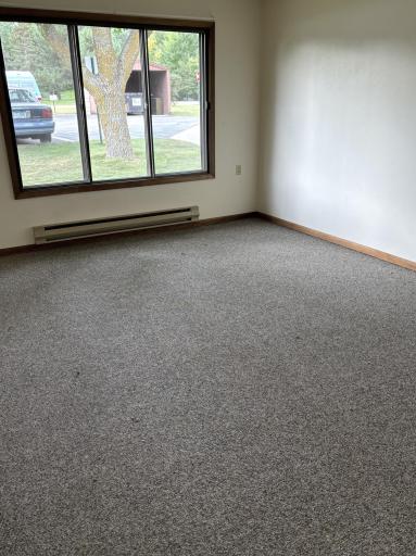 102 N Madison Avenue, 8, Battle Lake, MN 56515