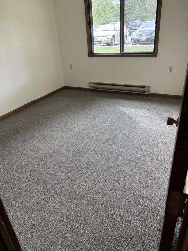 102 N Madison Avenue, 8, Battle Lake, MN 56515