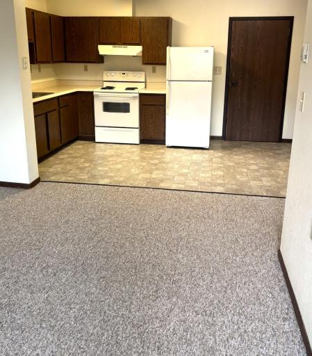 221 E Cavour Avenue, Fergus Falls, MN 56537