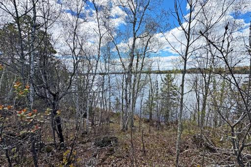 0000 County Highway 77, Tower, MN 55790