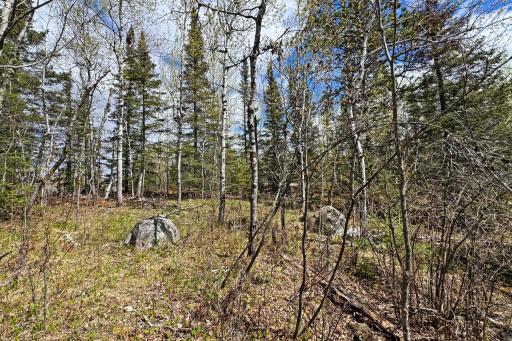 0000 County Highway 77, Tower, MN 55790