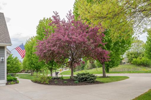 driveway copy.jpg