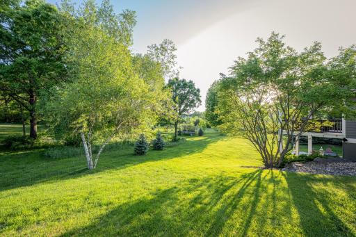 Backyard_1 copy.jpg