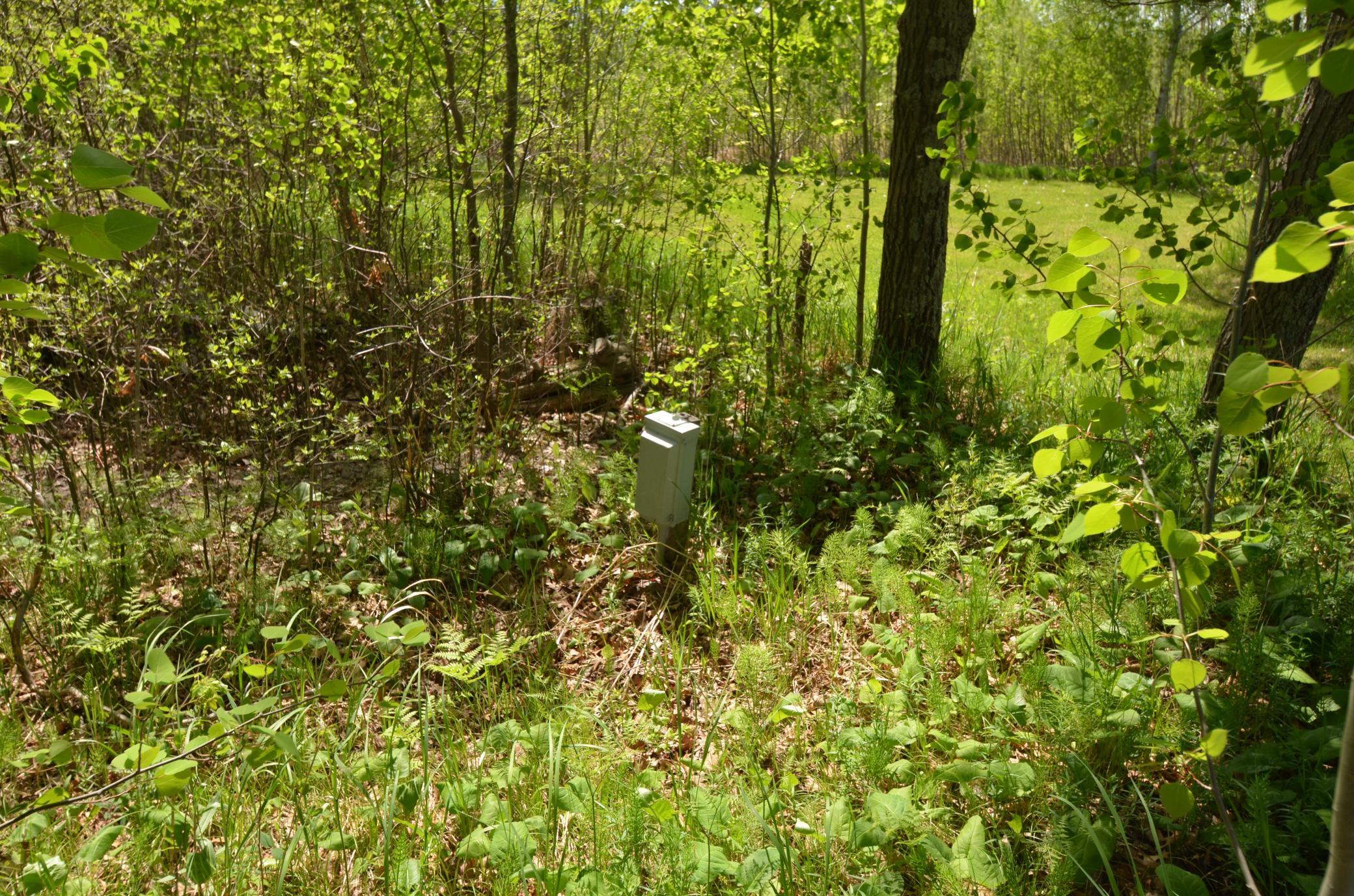 DSC_0100.JPG
