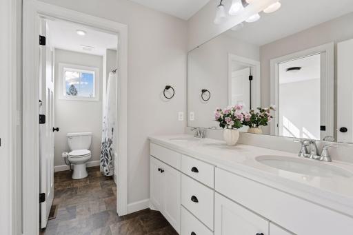 12933 Burr Oak Lane N, Champlin, MN 55316