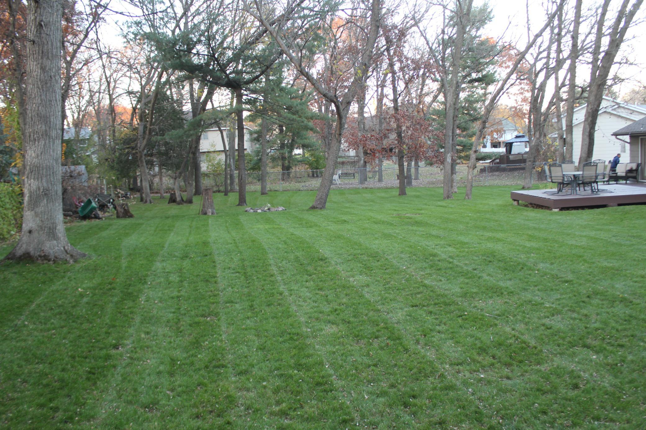 Relaxing Backyard