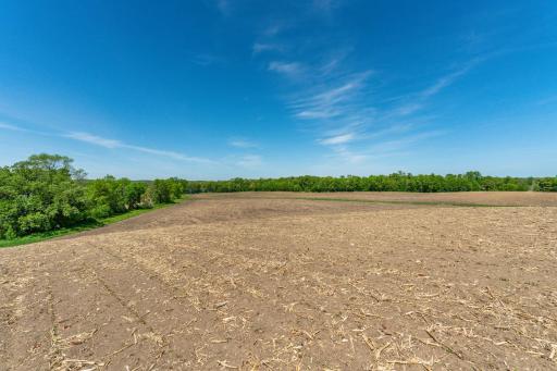 460th Ave, Brandon, MN 56315