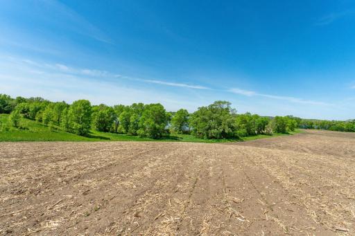 460th Ave, Brandon, MN 56315