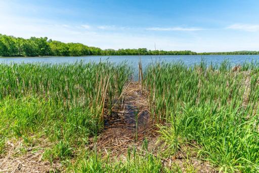 460th Ave, Brandon, MN 56315