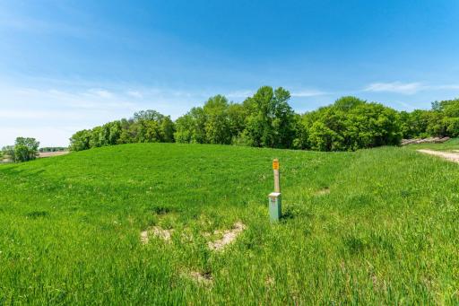 460th Ave, Brandon, MN 56315