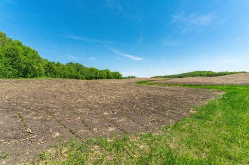 460th Ave, Brandon, MN 56315