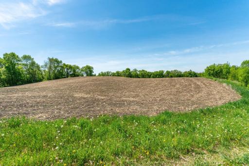 460th Ave, Brandon, MN 56315