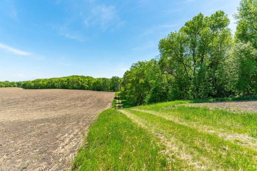 460th Ave, Brandon, MN 56315