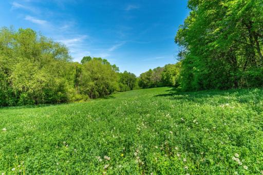 460th Ave, Brandon, MN 56315