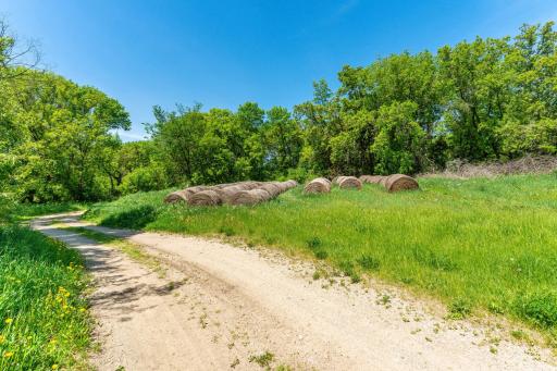 460th Ave, Brandon, MN 56315